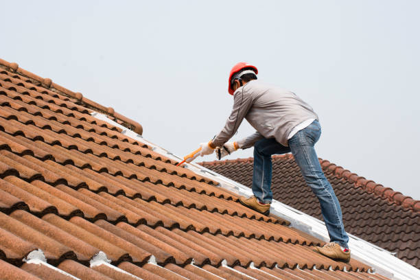 Best Metal Roofing Installation  in Barboursville, WV