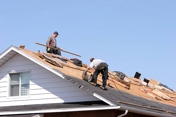 Best Roof Leak Repair  in Barboursville, WV